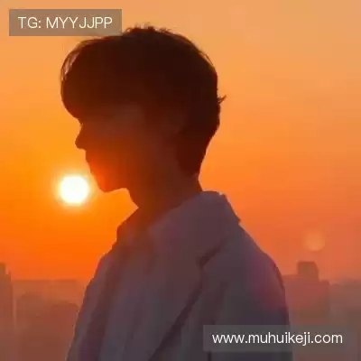 舒舜飚